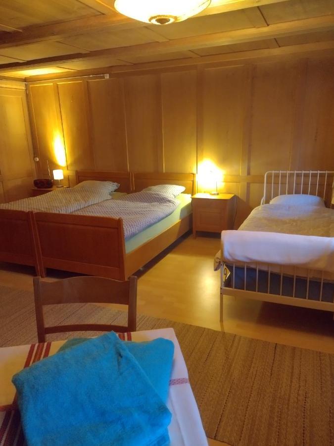 Вилла Friedlis Buurehof Affoltern Am Albis Экстерьер фото